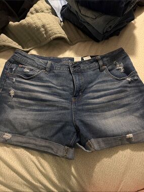 Time and Tru Distressed Blue Roll-Cuff Women's Jean Shorts